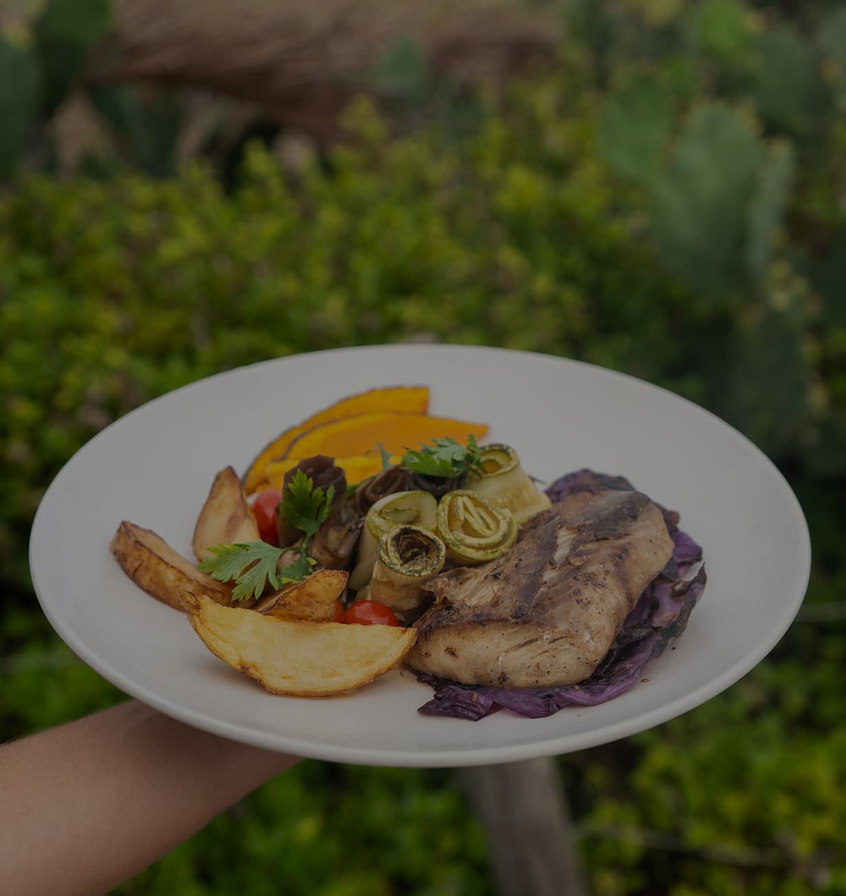 3 meals per day